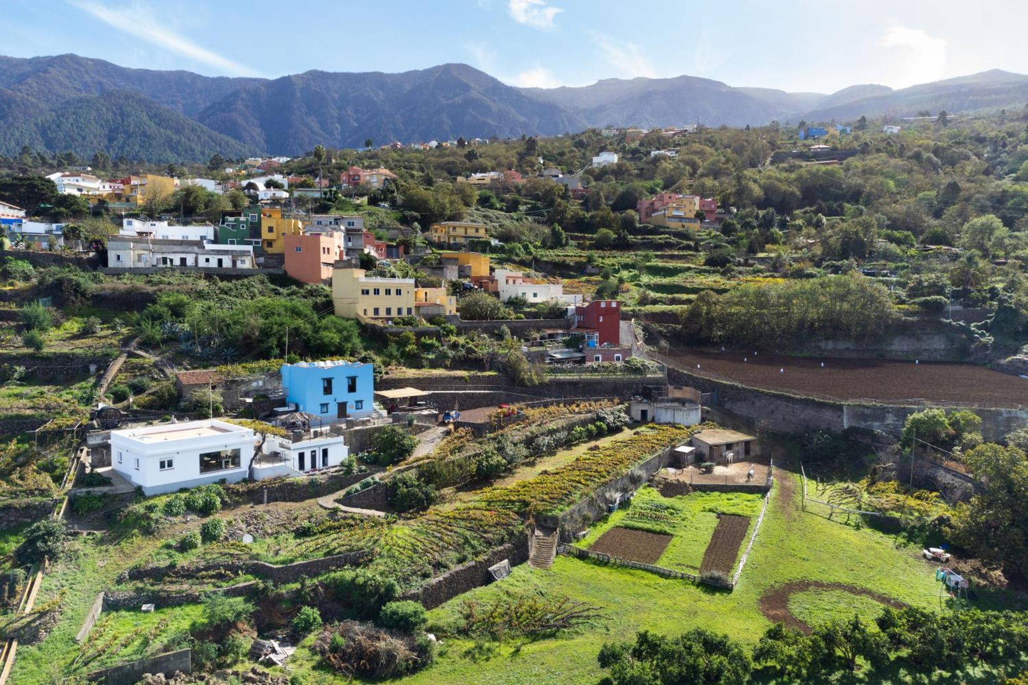 Ek Teide Finca El Milagro La Orotava Eksteriør bilde