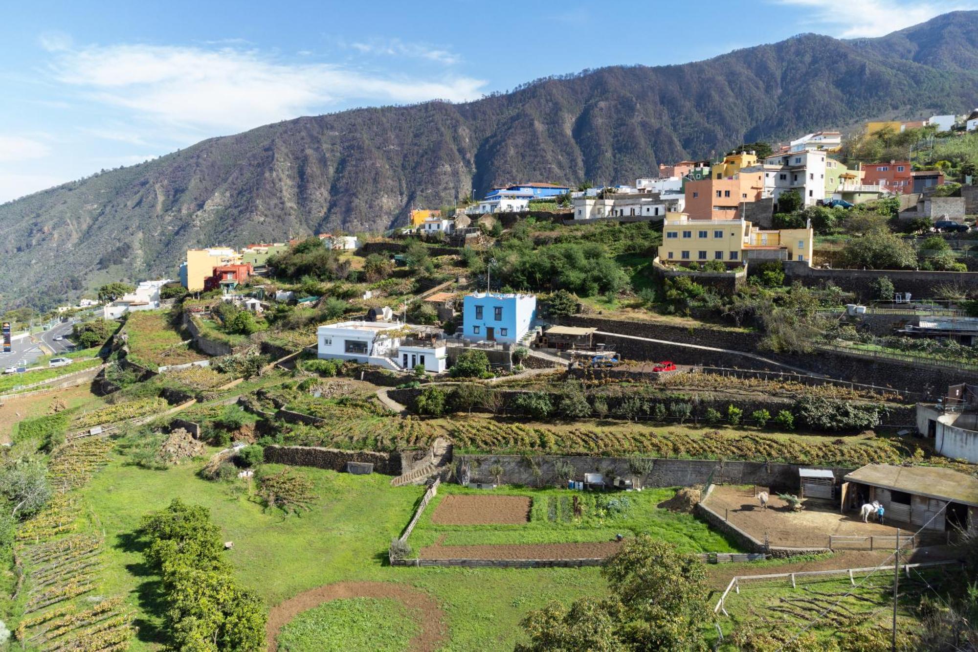 Ek Teide Finca El Milagro La Orotava Eksteriør bilde
