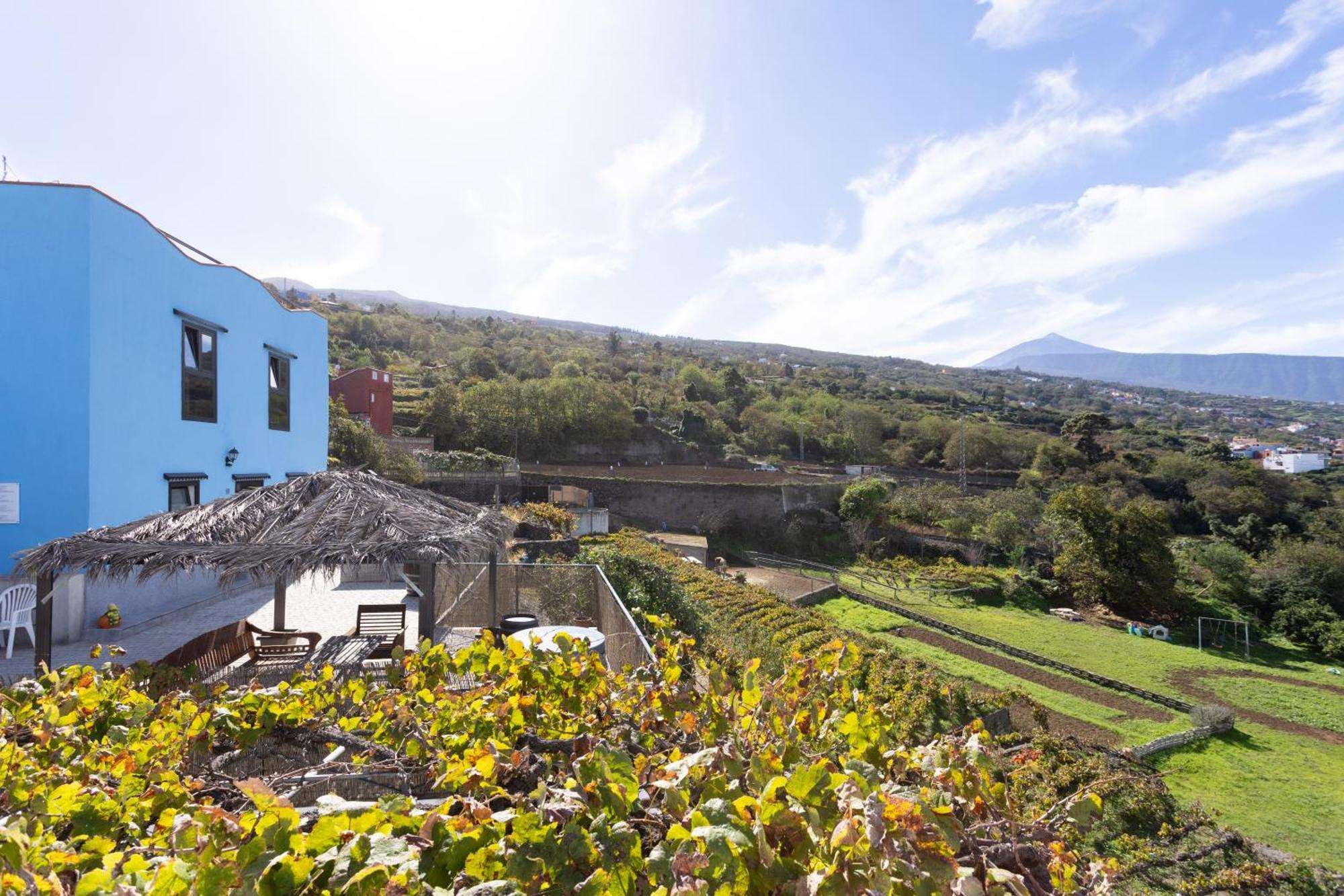 Ek Teide Finca El Milagro La Orotava Eksteriør bilde